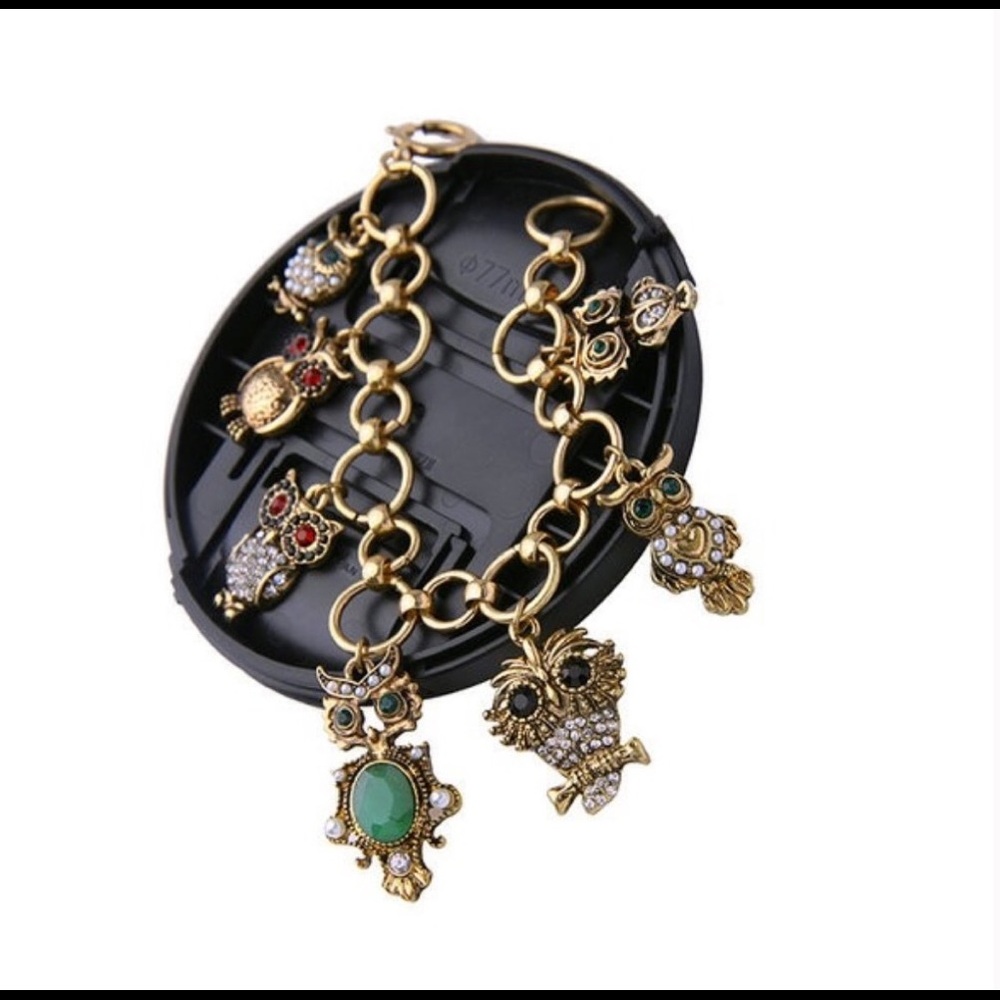 NOT FOR SALE.    Owl Charm Bracelet. - Picture 2 of 6